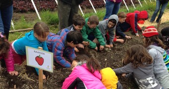 Photo for Bainbridge Gives is OPEN - Join Us!
