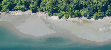image for page link