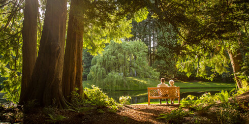 People sitting on bench by lake